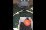 2000 Rayglass Legend 620 Powerboat for sale in Whitby, Wellington (ID-12)